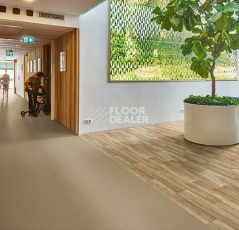 Forbo Modul'up compact material 303UP43C sand nairobi фото 2 | FLOORDEALER